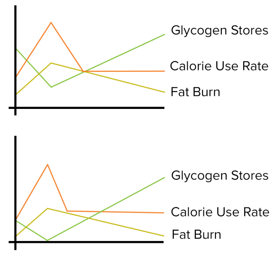 When To Eat To Optimize Performance Day 6 — Vite Ramen