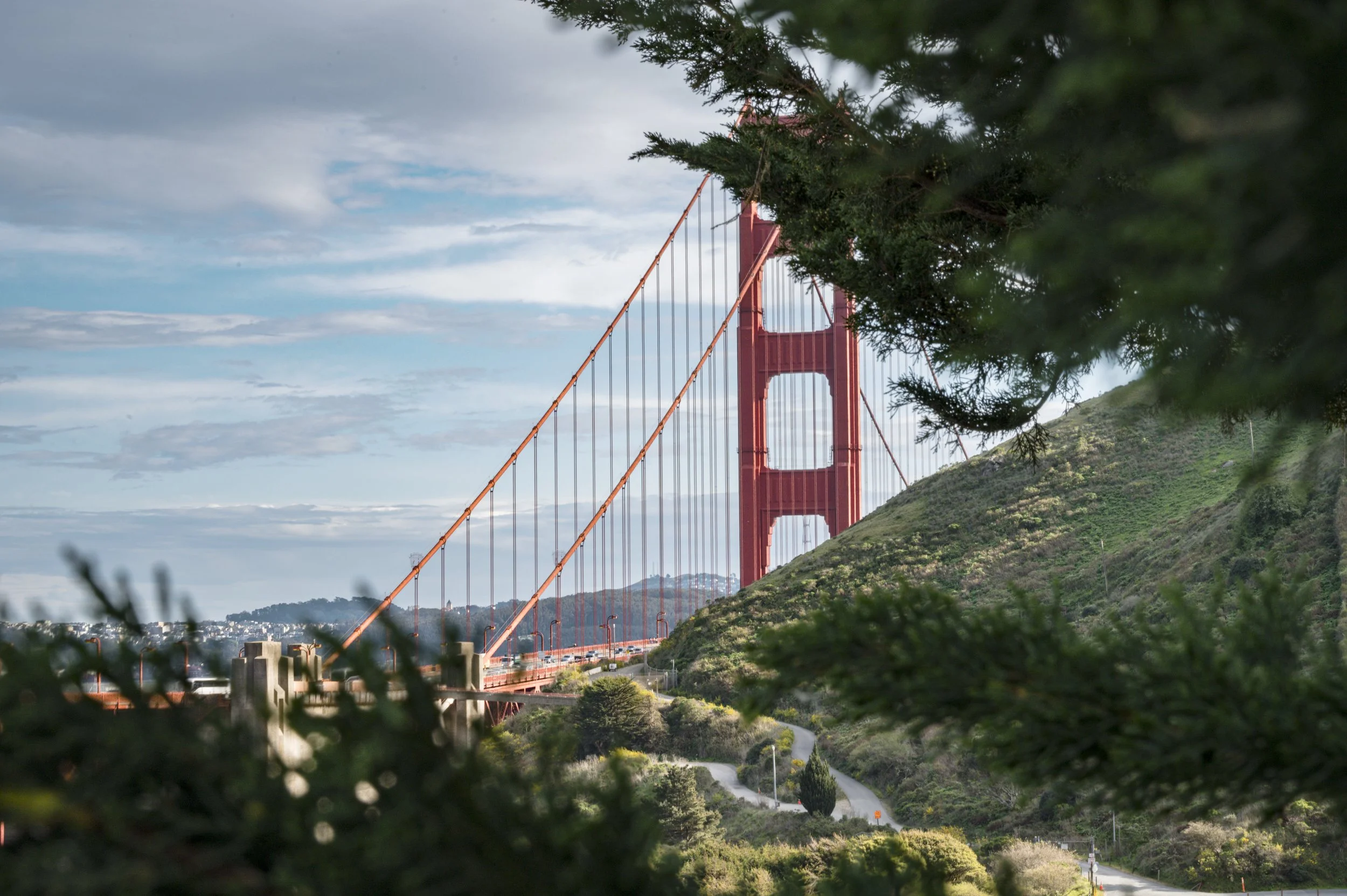 The Golden Gate Bridge in San Francisco, partially obscured by trees in the foreground, with a cloudy sky in the background.