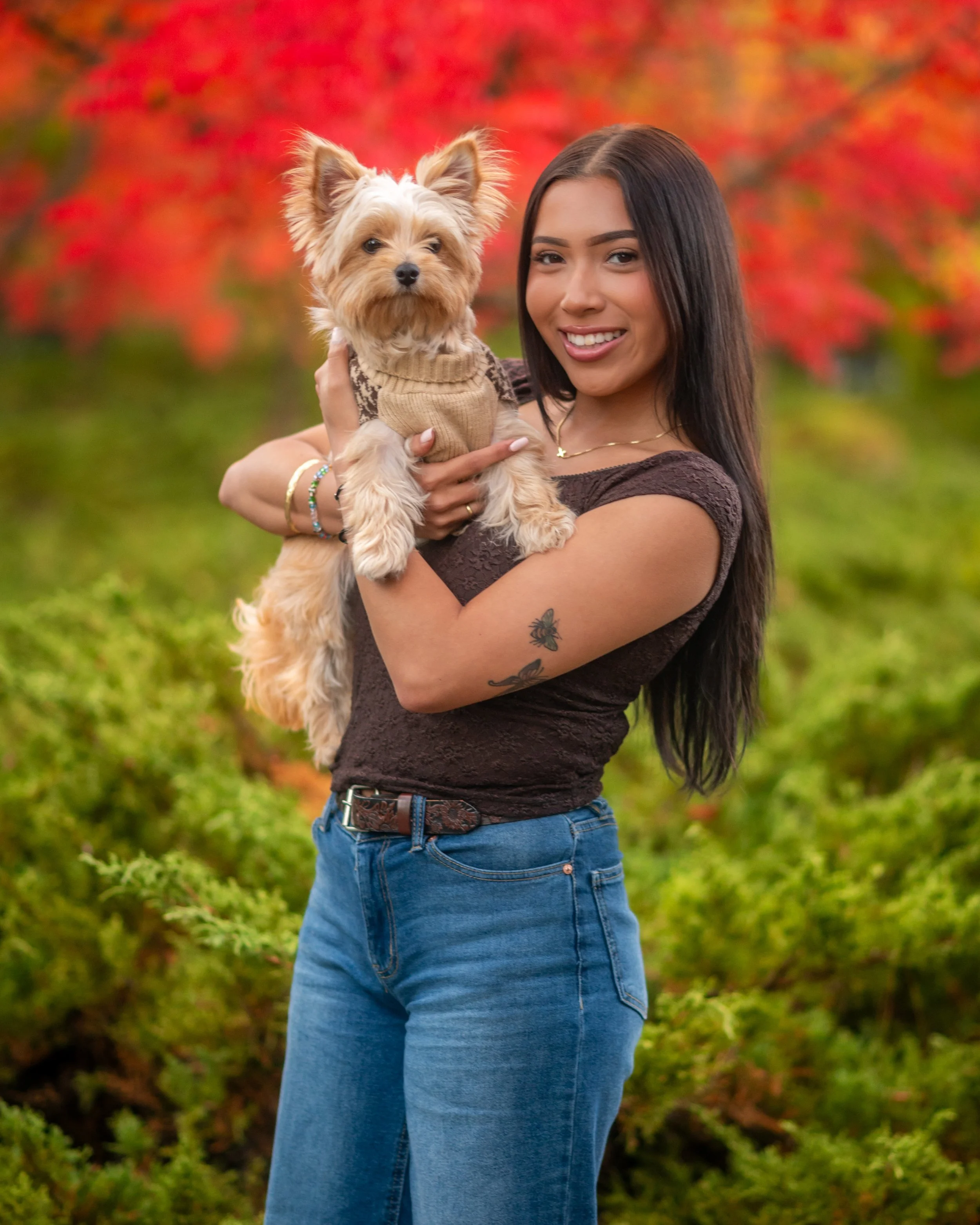 Pet Photography, Walnut Creek,  California