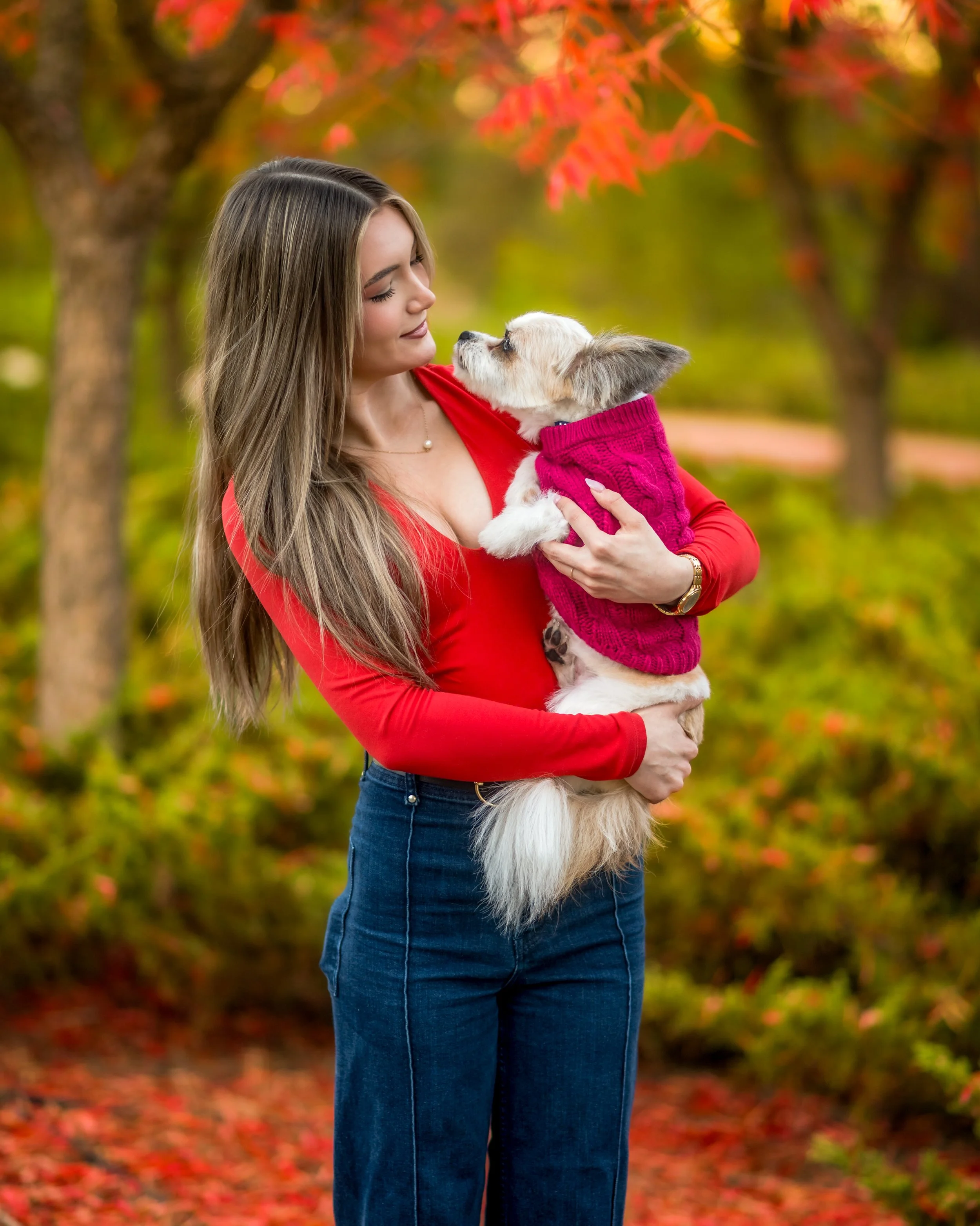 Pet/Dog Photography, Walnut Creek, California