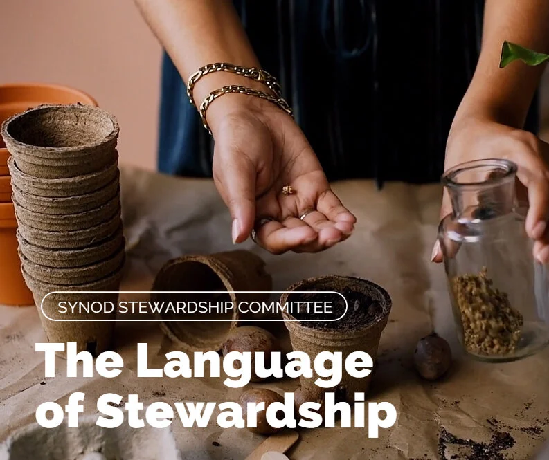 Stewardship Video Series