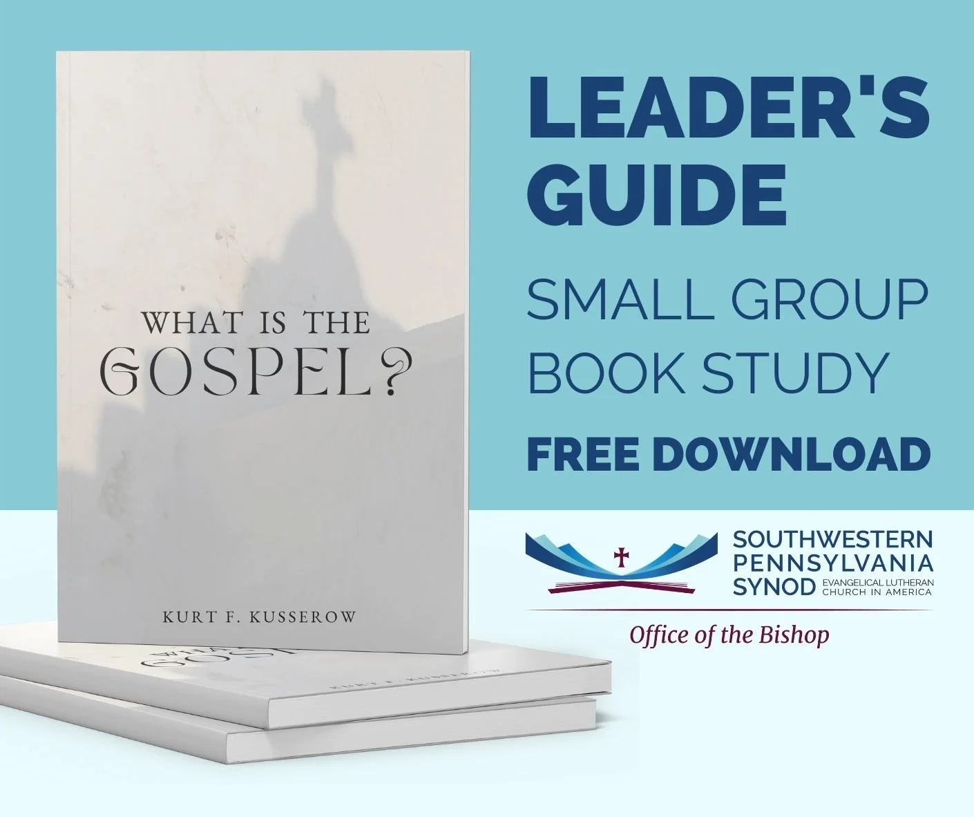 Leader's Guide for "What is the Gospel?