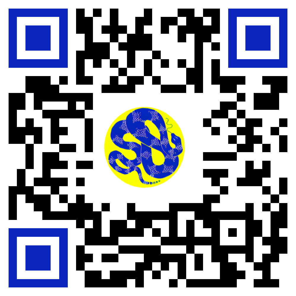 Brazil Snake QR Code.png