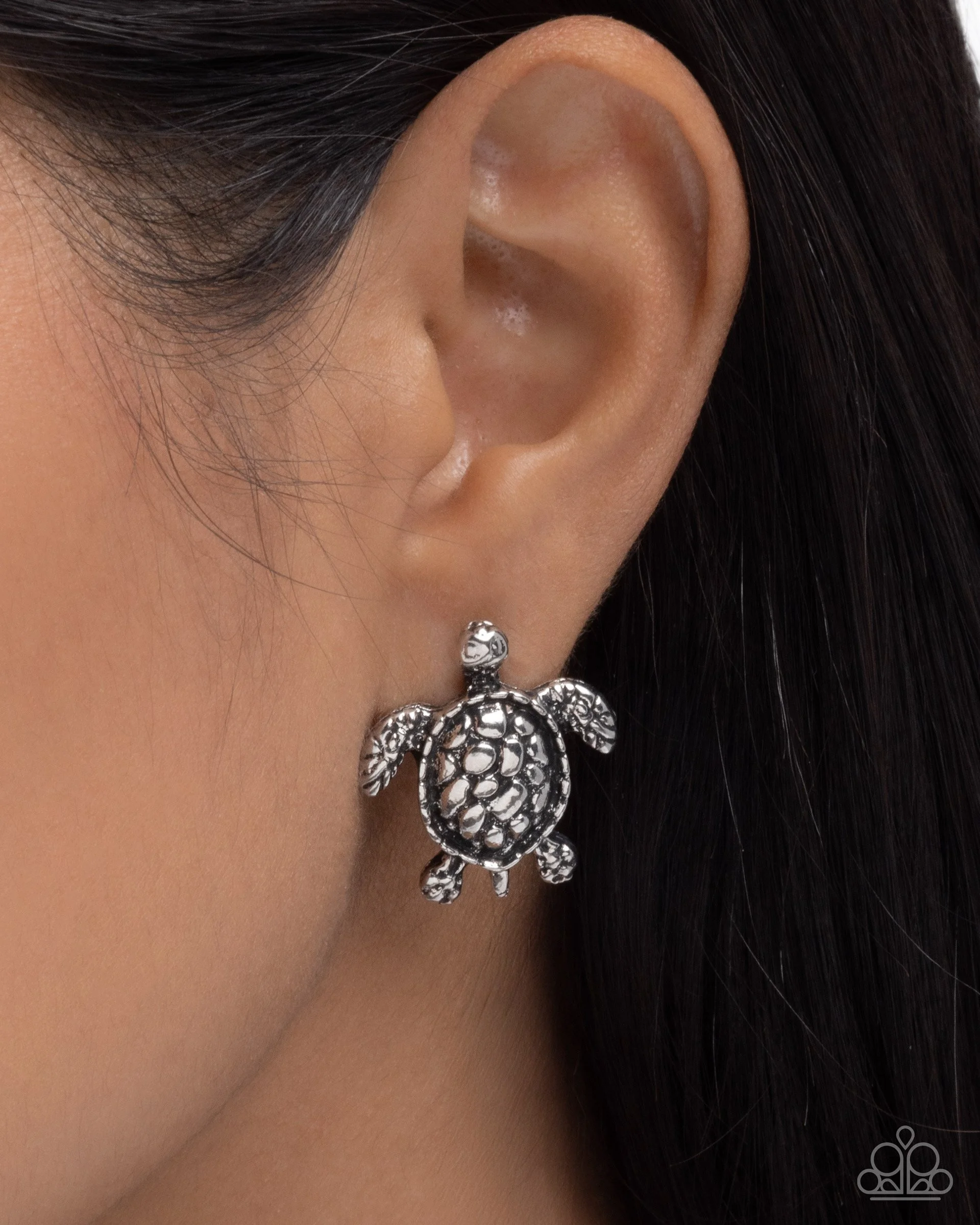 Turtle Taste-1.jpg