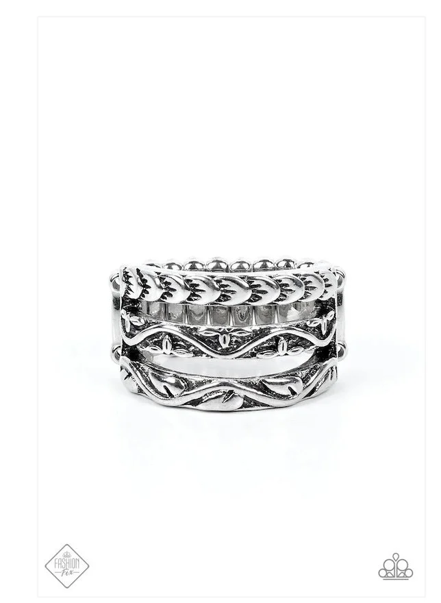 canyon canopy silver ring paparazzi FF SSF orig.jpg