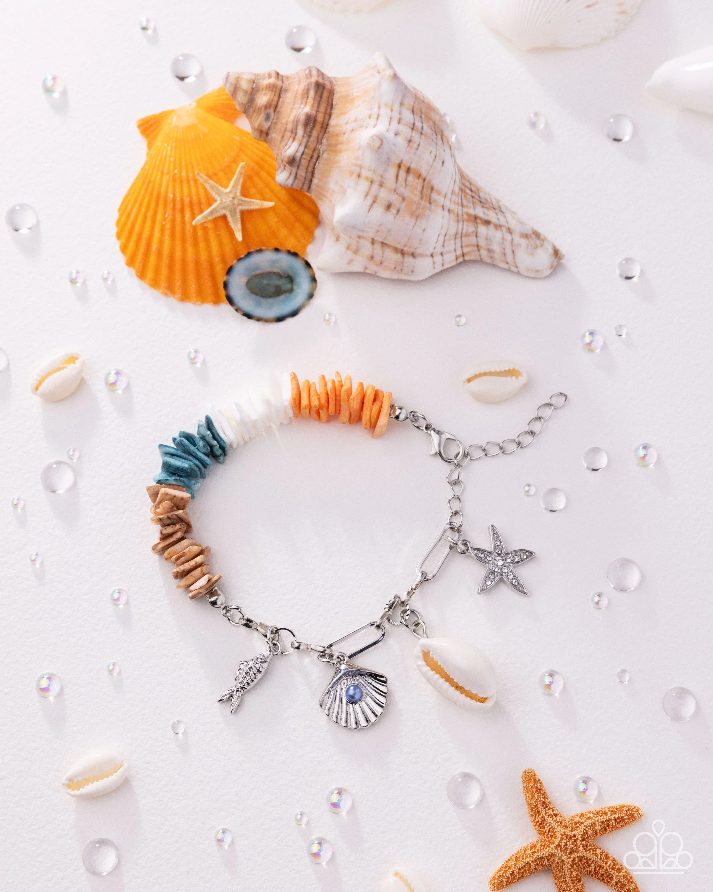 Seaside Shells-2-2.jpg