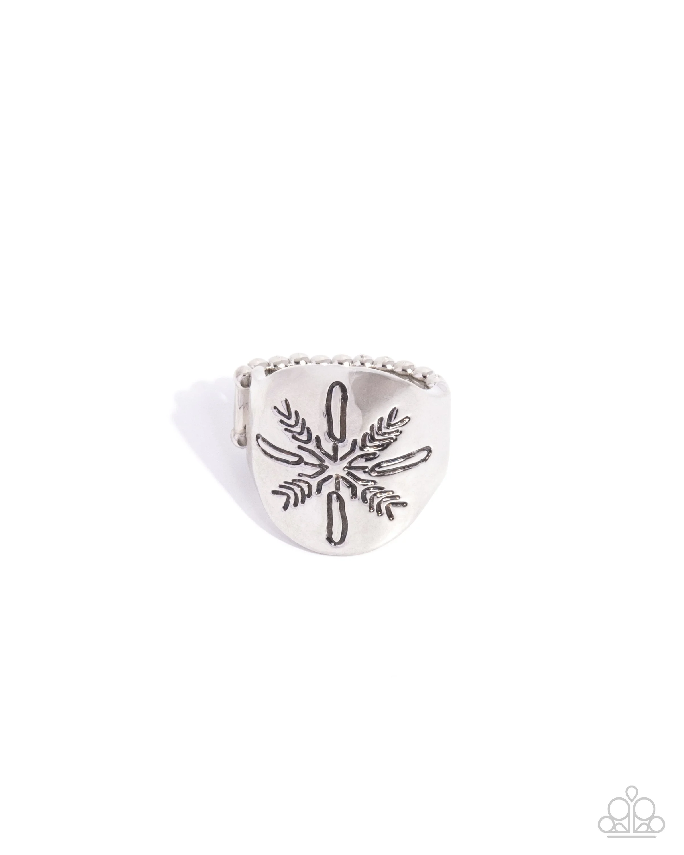 Snowflake Surprise-0.jpg