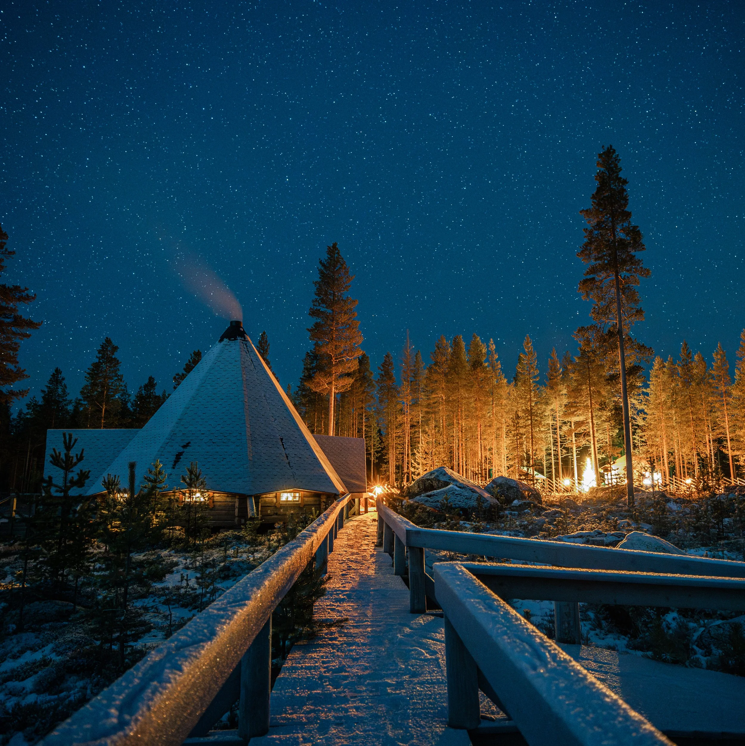 WEB NL REINDEER 5.jpg