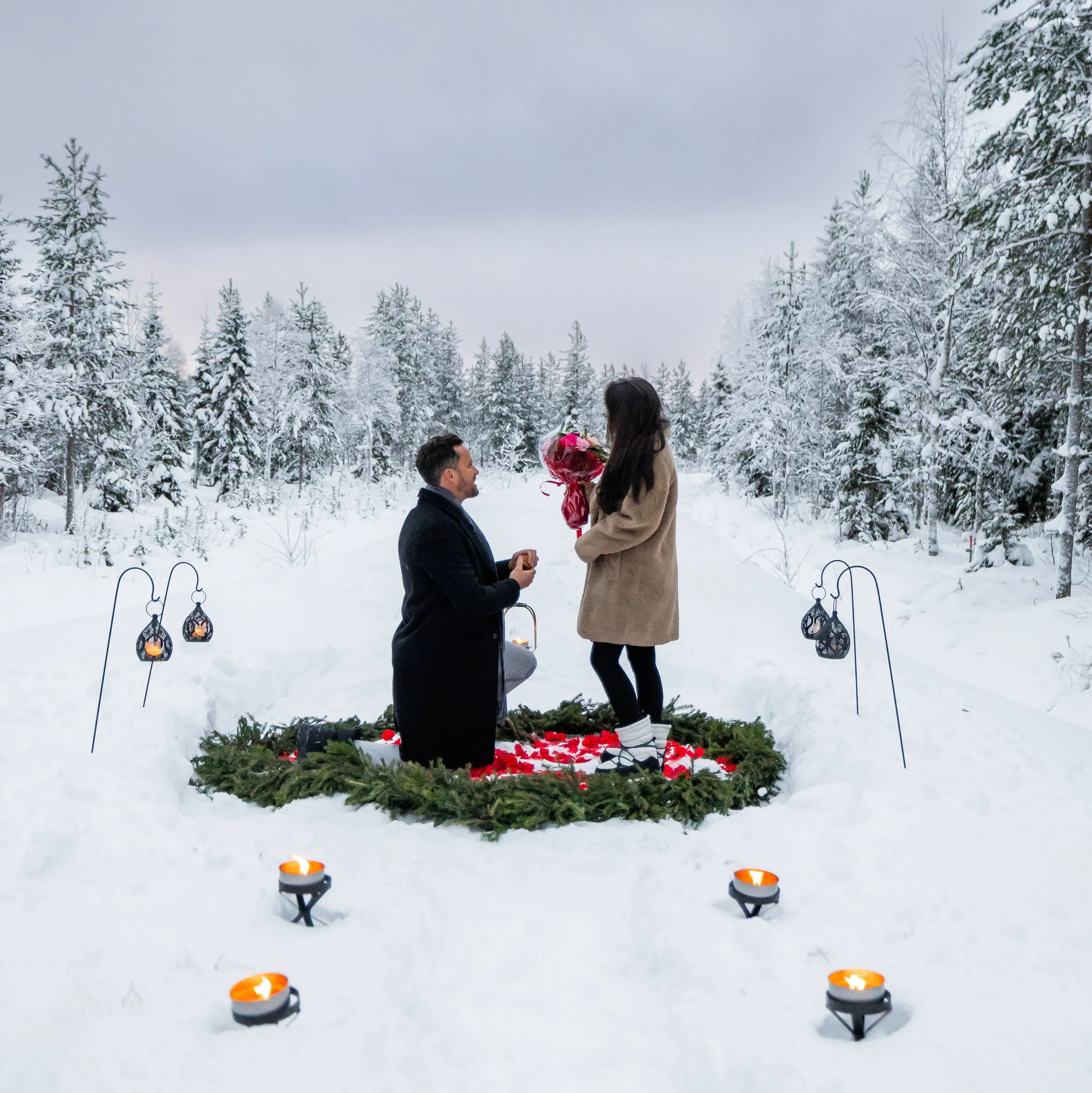 WEB Charming Horse Sleigh Ride 2.jpg