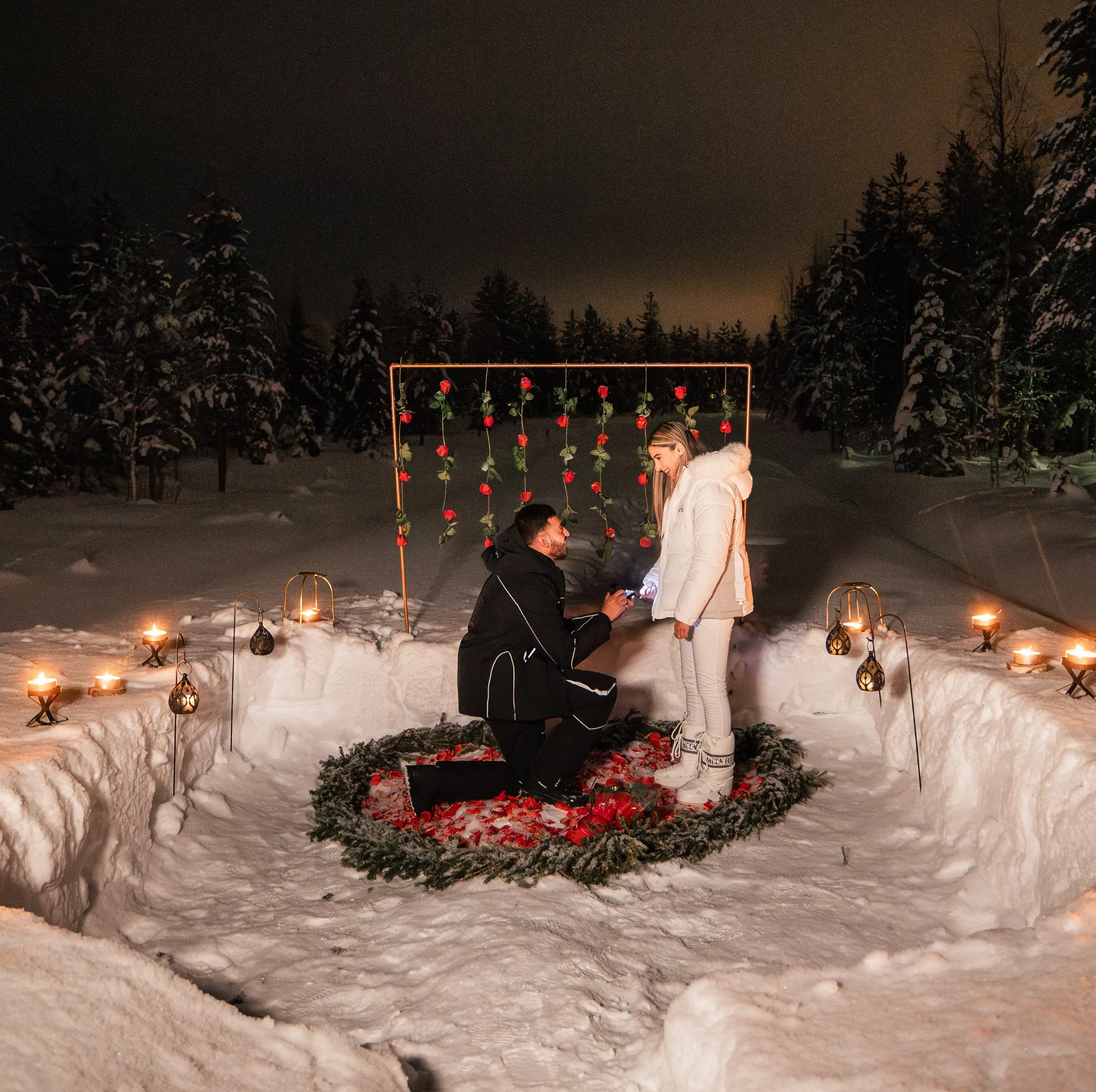WEB Charming Horse Sleigh Ride 3.jpg
