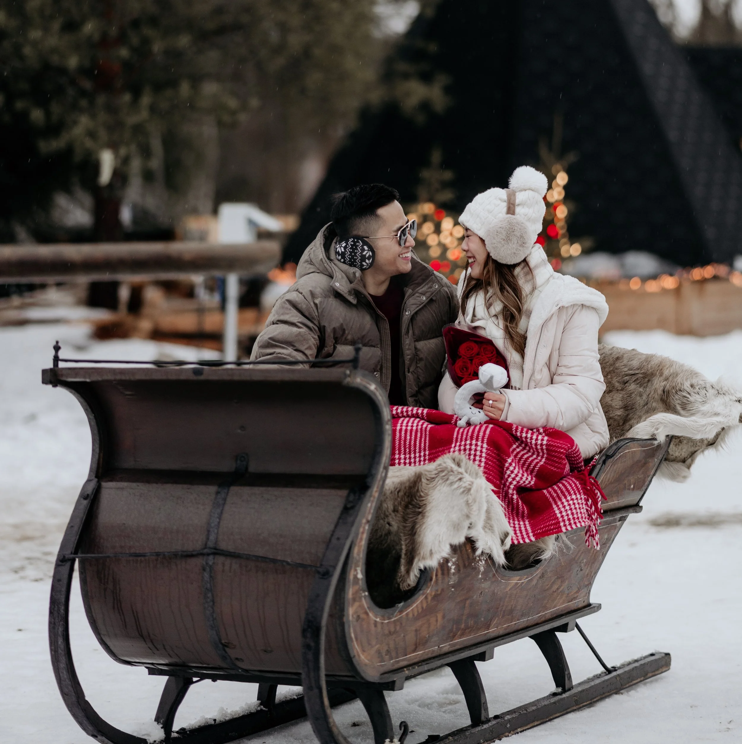 WEB Charming Horse Sleigh Ride 6.jpg