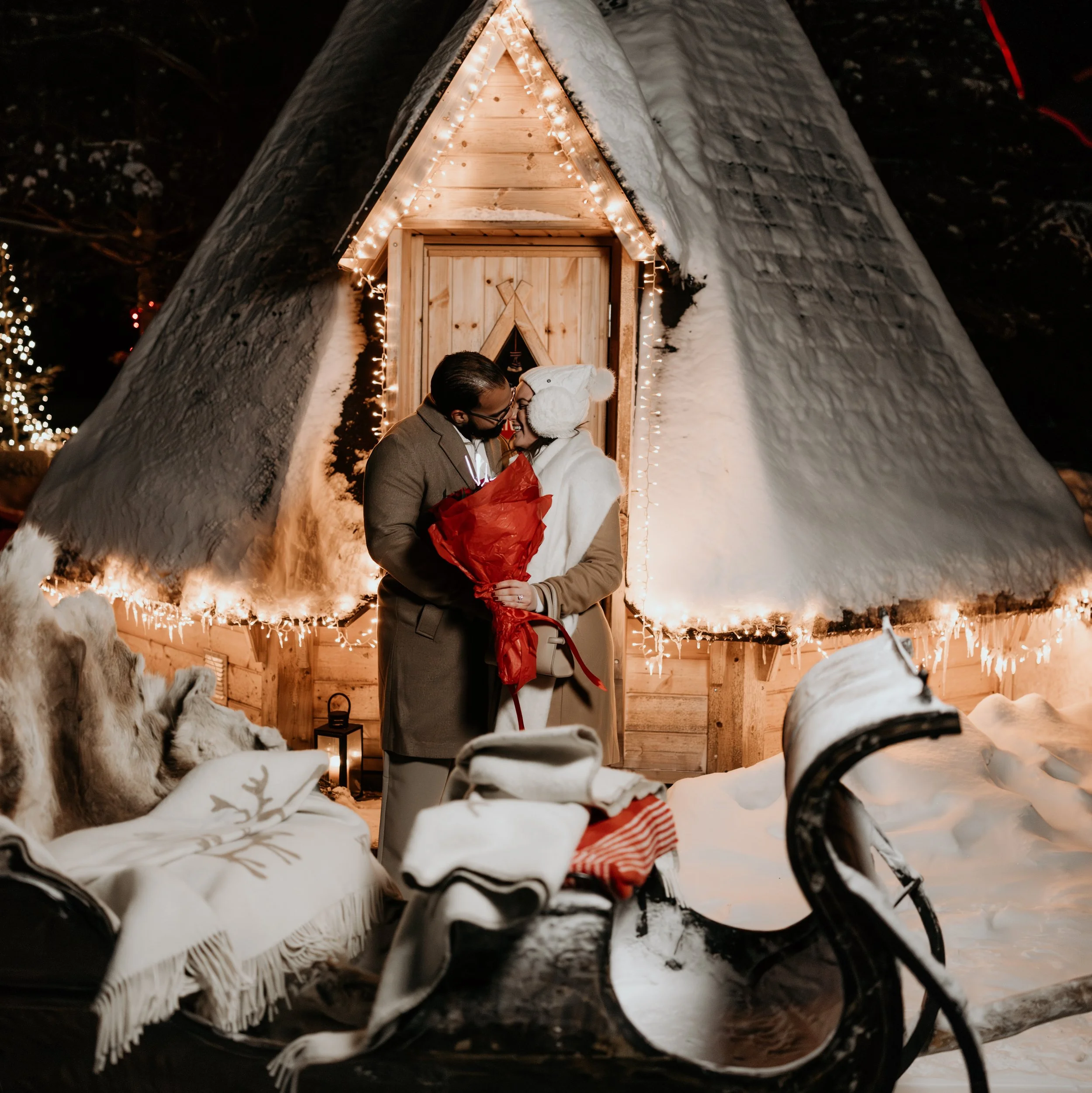 WEB Charming Horse Sleigh Ride 8.jpg