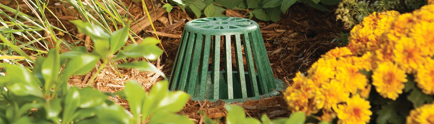 DrainageHeader.jpg