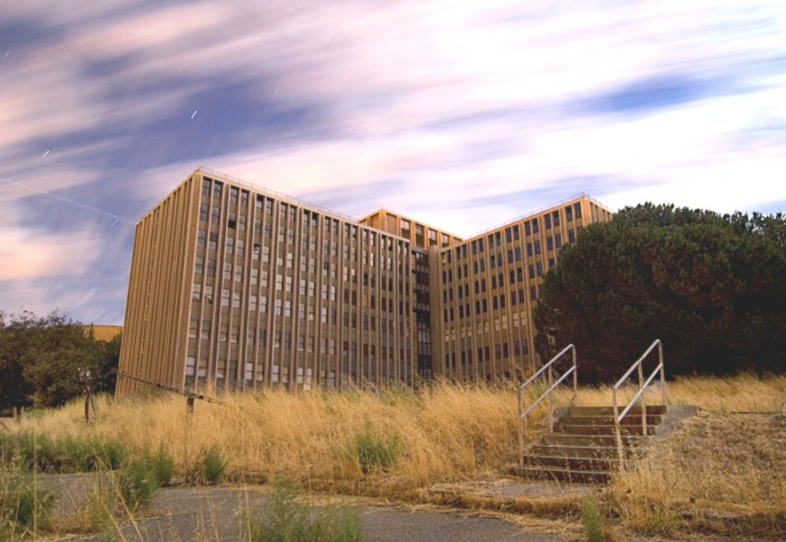 A Week in a Madhouse