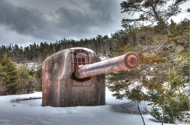 How the Guns of Argentia Taught Me to Read