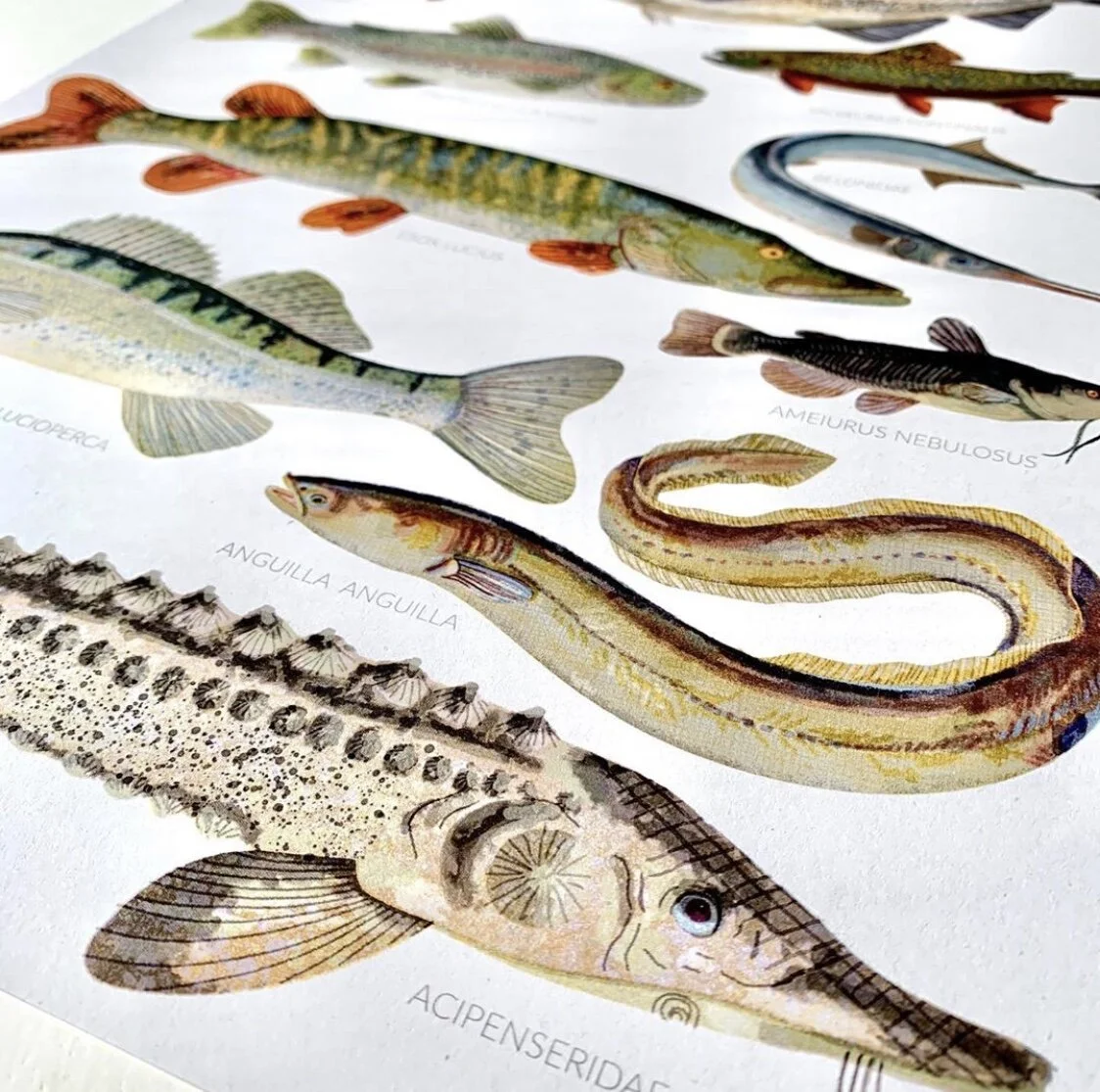 92A848E7-1855-4351-824B-6F868B8D07B7