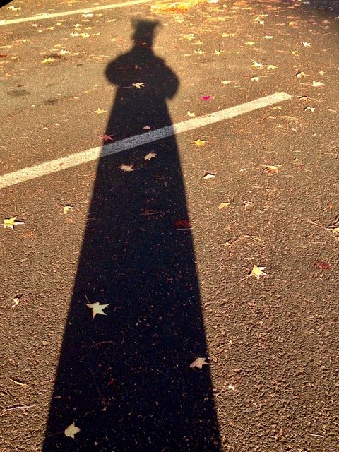 Self Shadow with Leaves
