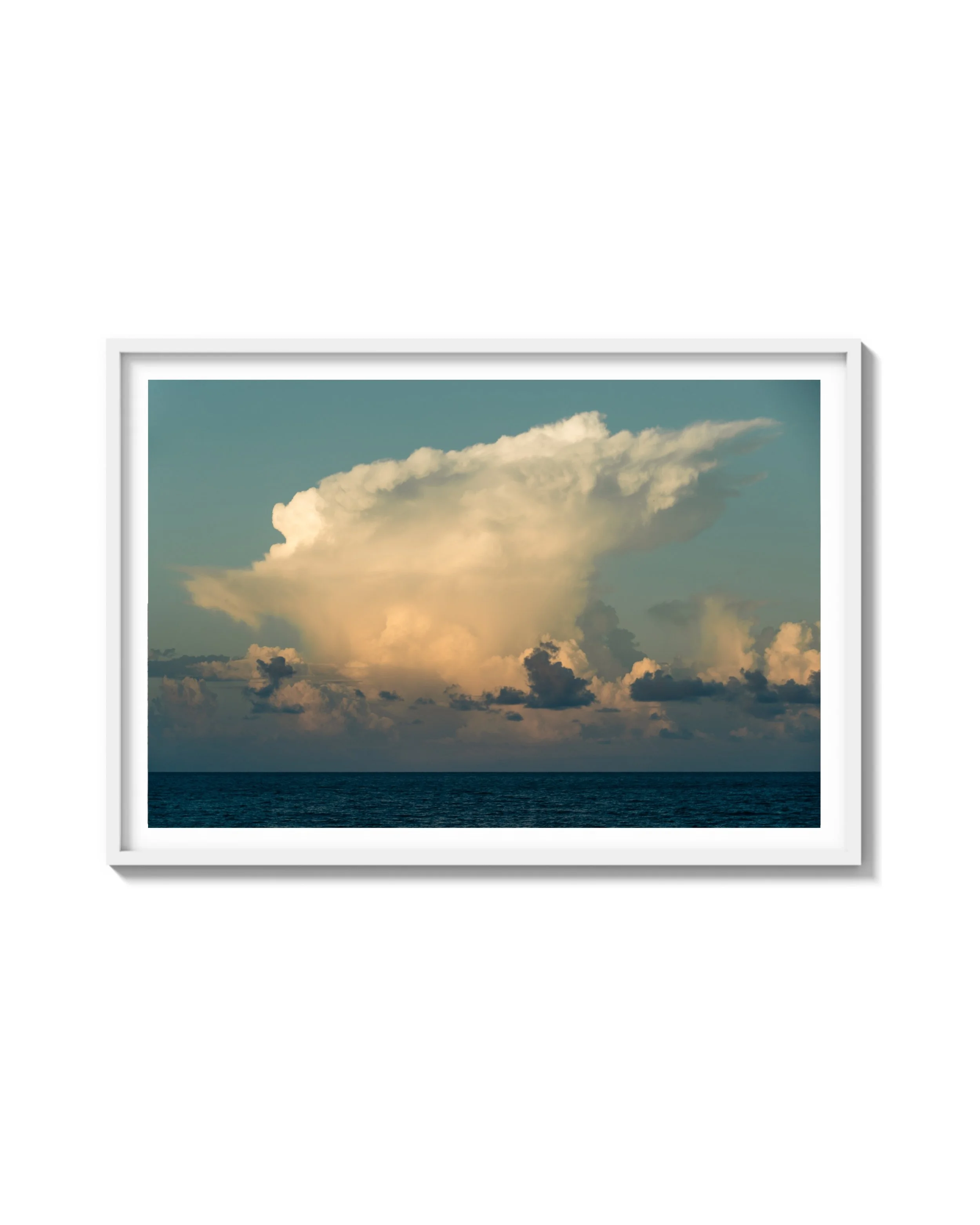 Untitled design-4 copy 2.JPG