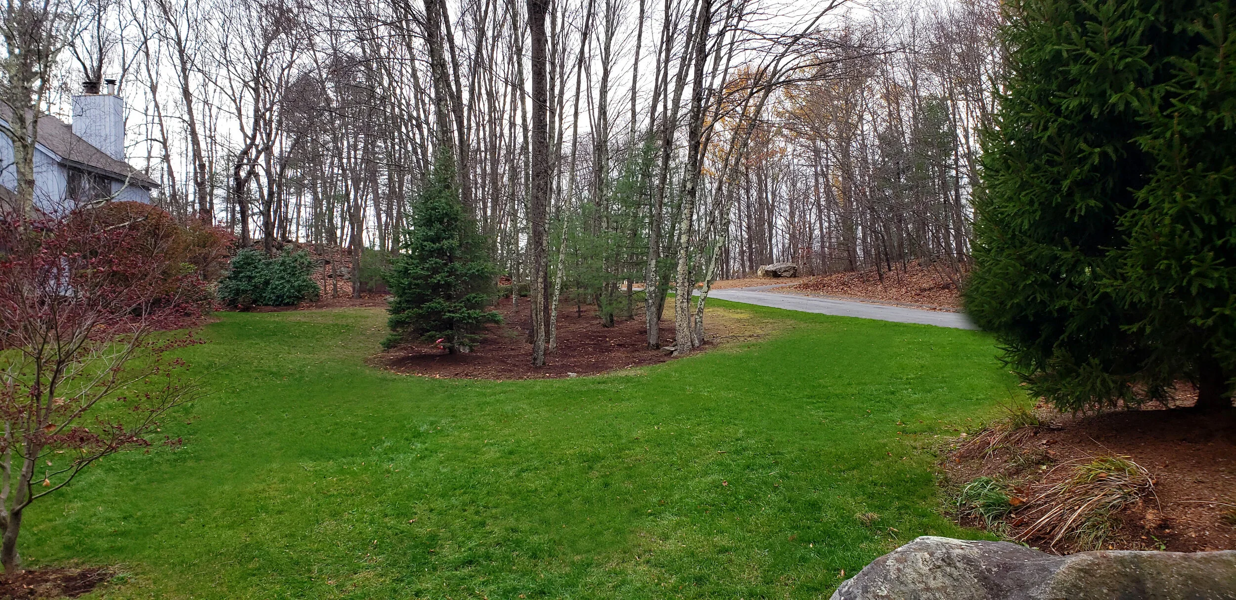 Project Gallery — Carefree Landscaping