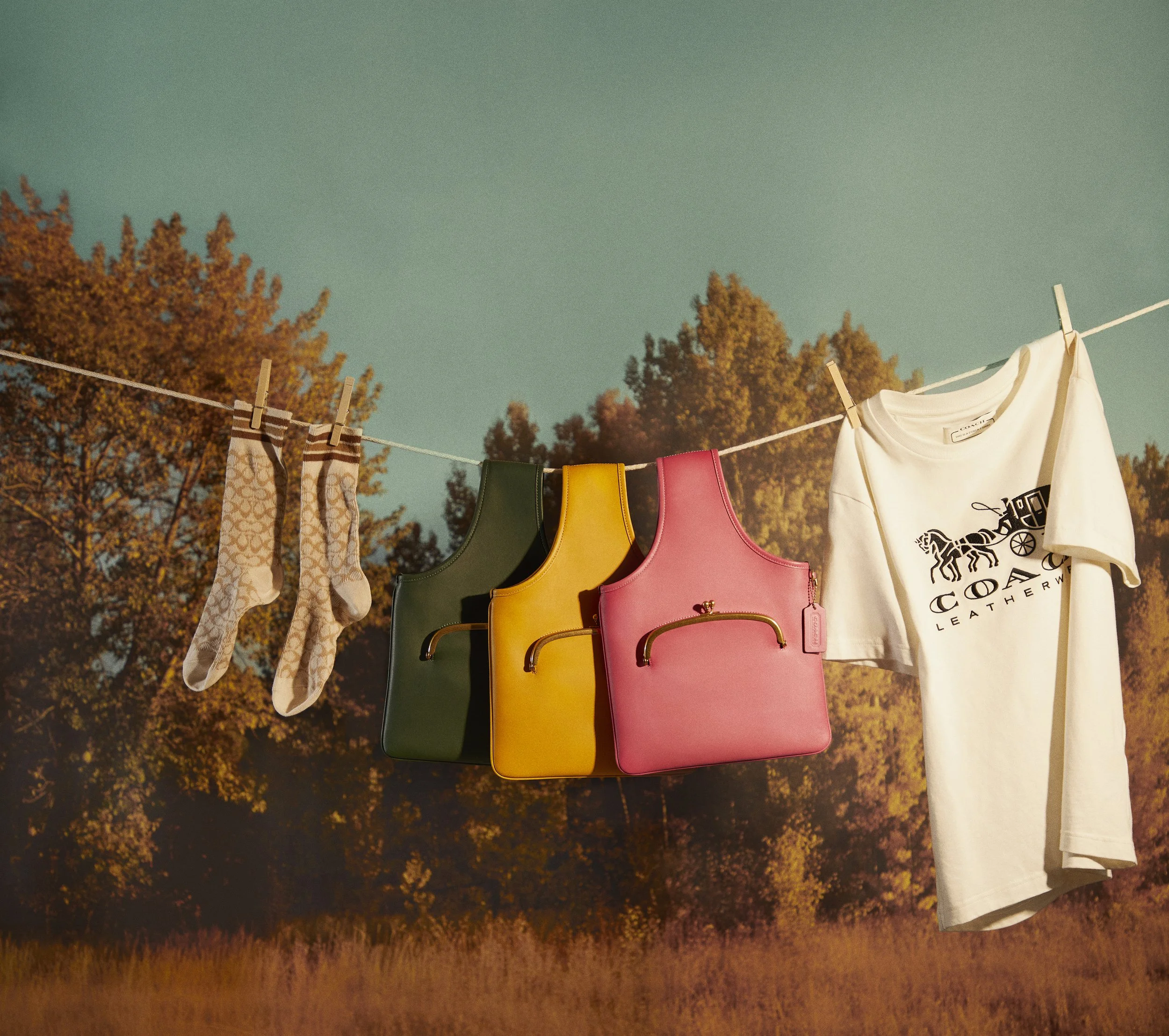 FW22 Show - Buy It Now