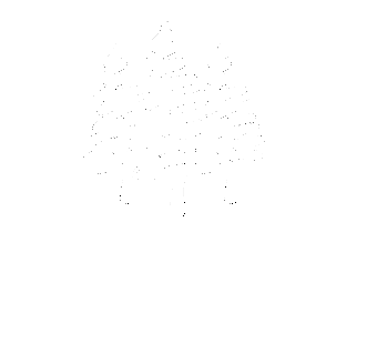 Cedar Grove Motor Lodge | Nelson NZ