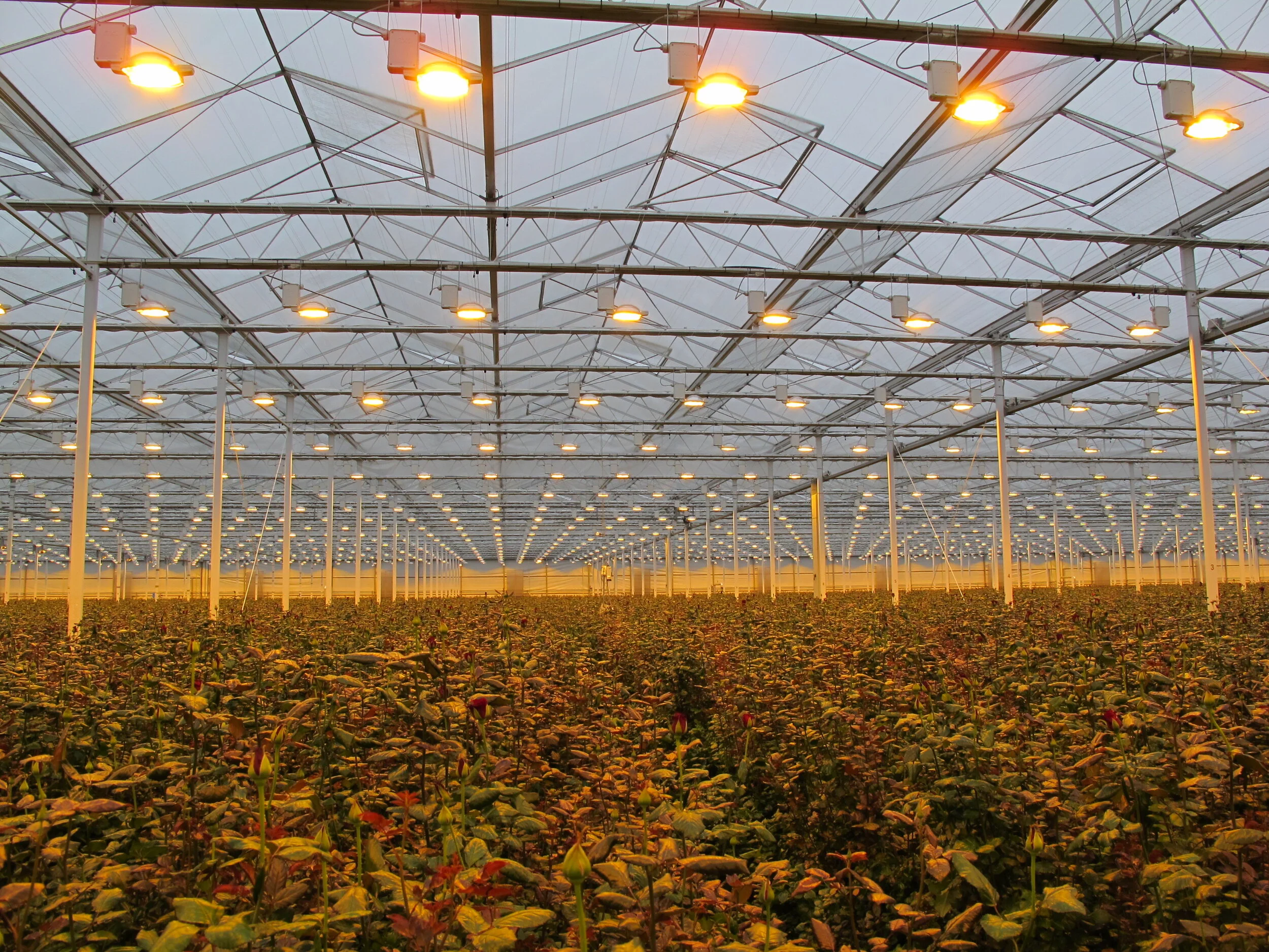 urban-ag-fig-1.jpg