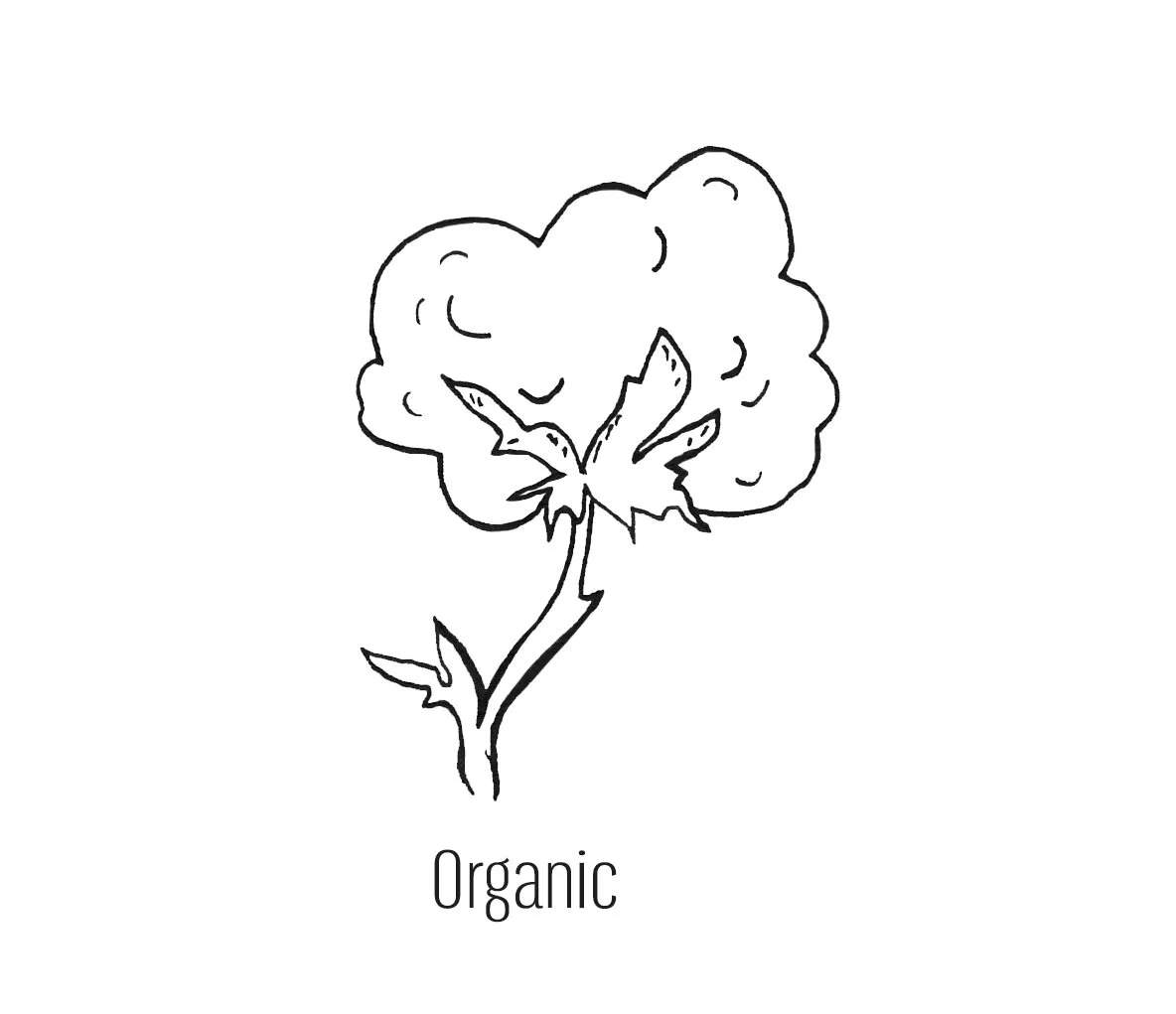 Organic copy.jpg
