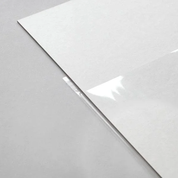 Cystal-clear-print-bag-detail4_71450d46-10cb-4e94-9143-93bd0c85a4f4_600x.jpg