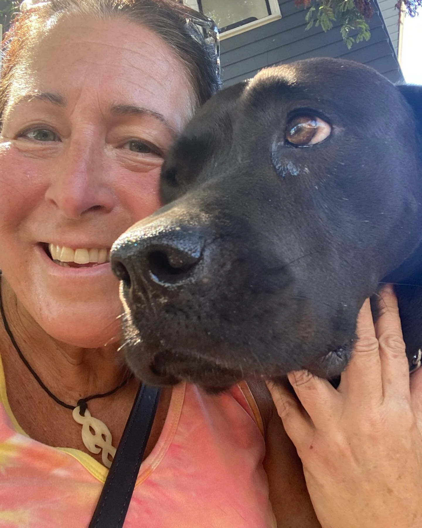 Turlock is such a cutie pie. He loves to pose for selfies with me! #turlock #handsomehound #blackdog #pawsup🐾 #pawsup4pets