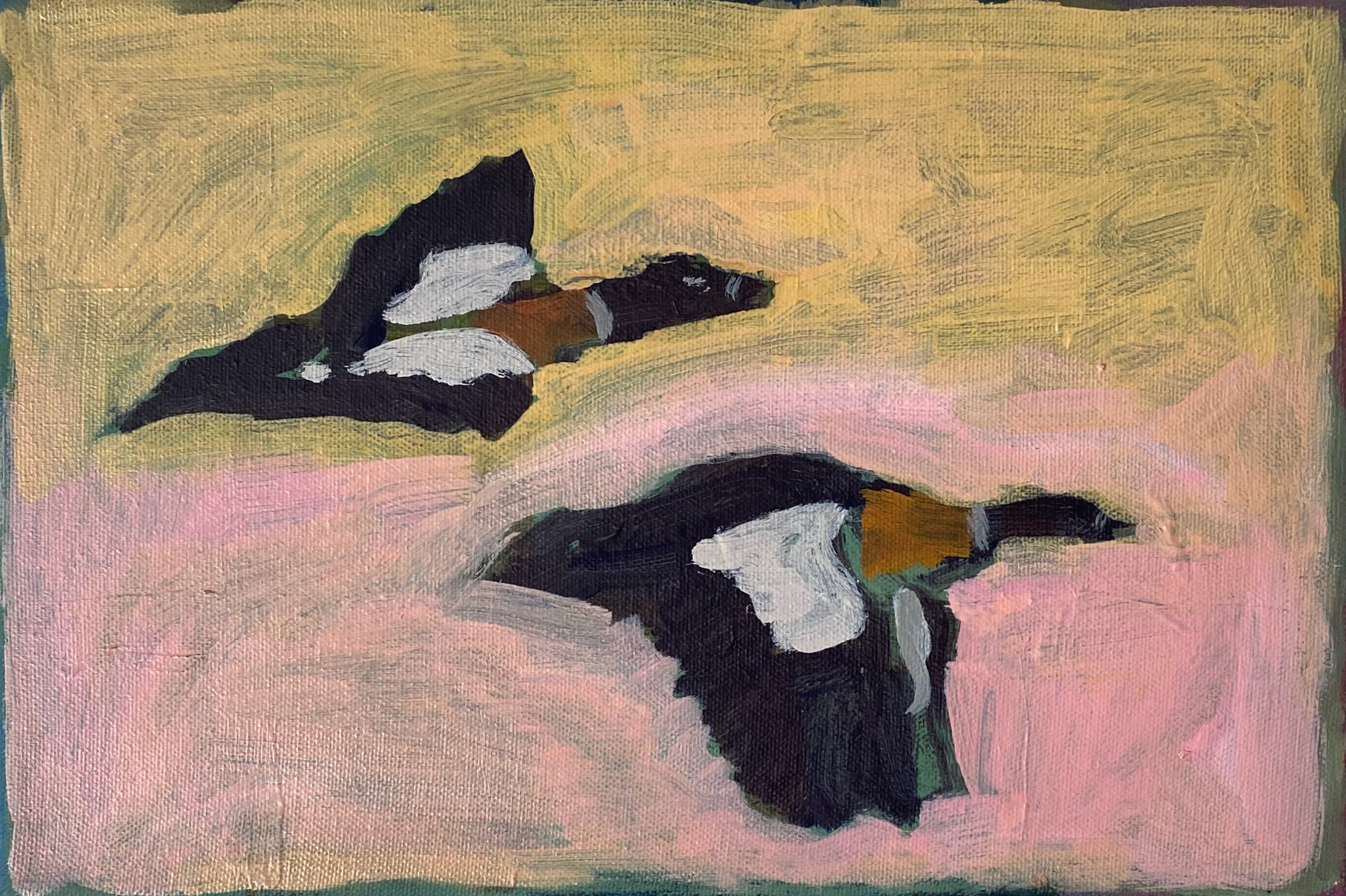 Ducks on the Pond