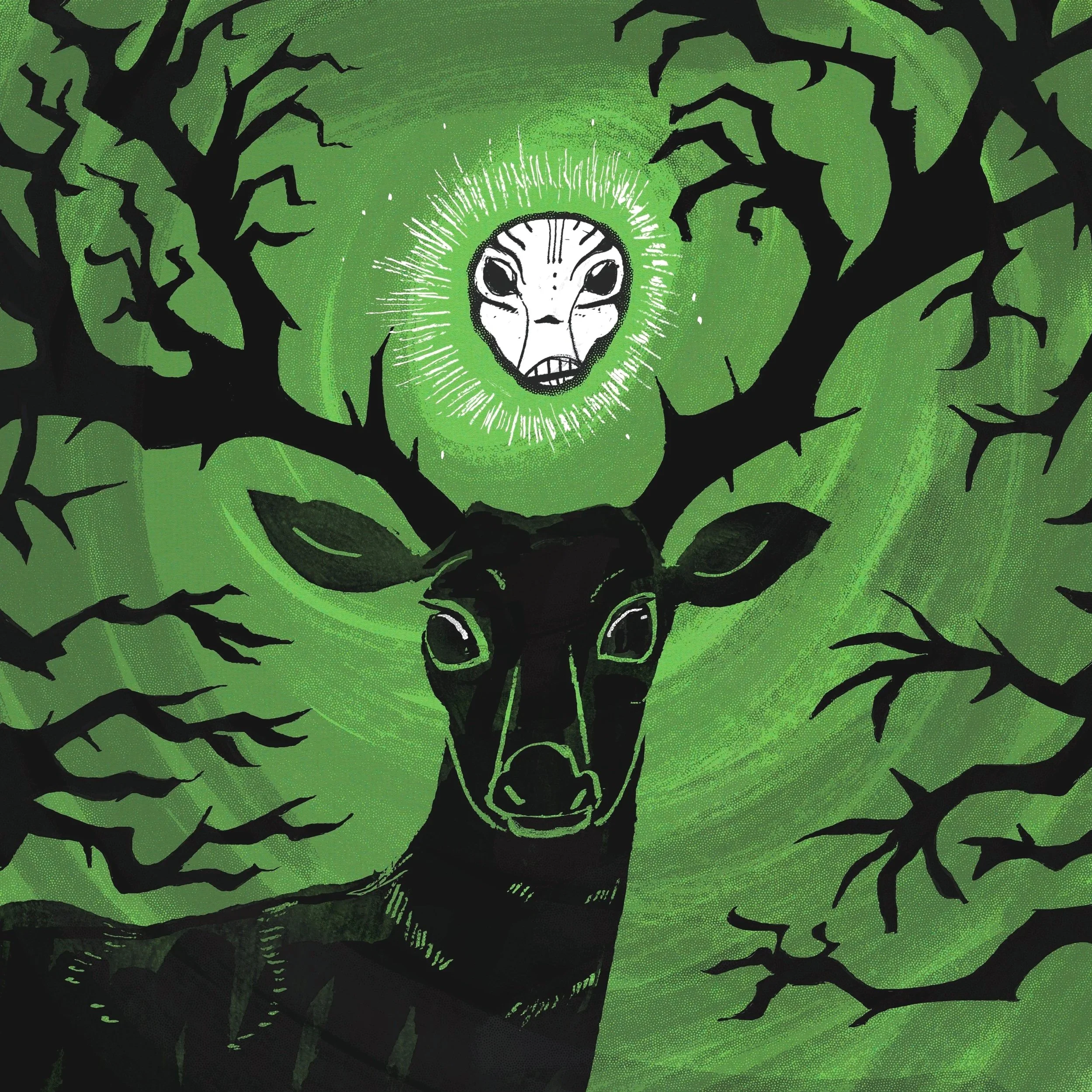DEER