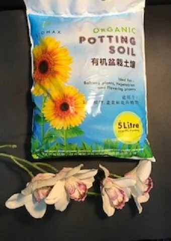organic potting soil for vegatables
