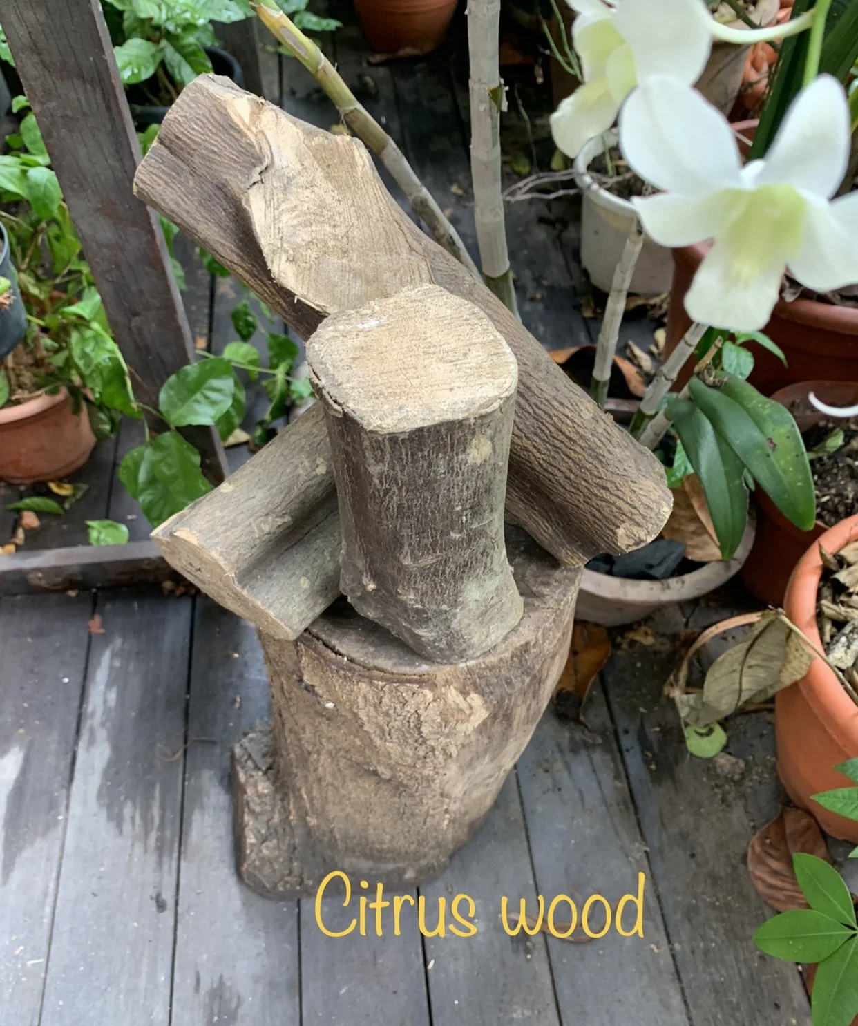 Orange 🍊 pizza firewood , lychee gourmet pizza wood . Guava firewood . Coffee firewood 18 kg