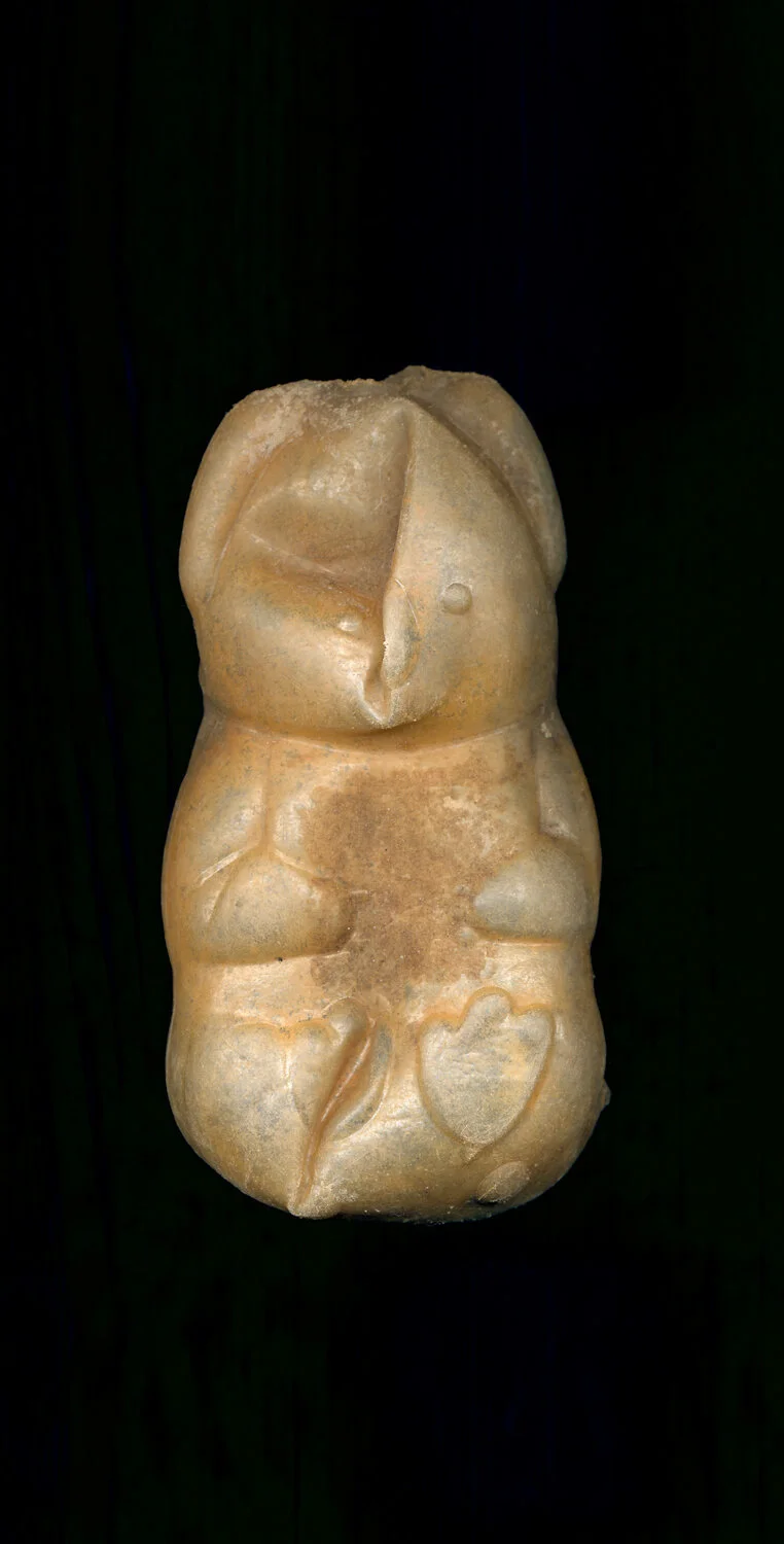 F25-BearSN RT FTumA90R9T11_AB-SmallSize.JPG