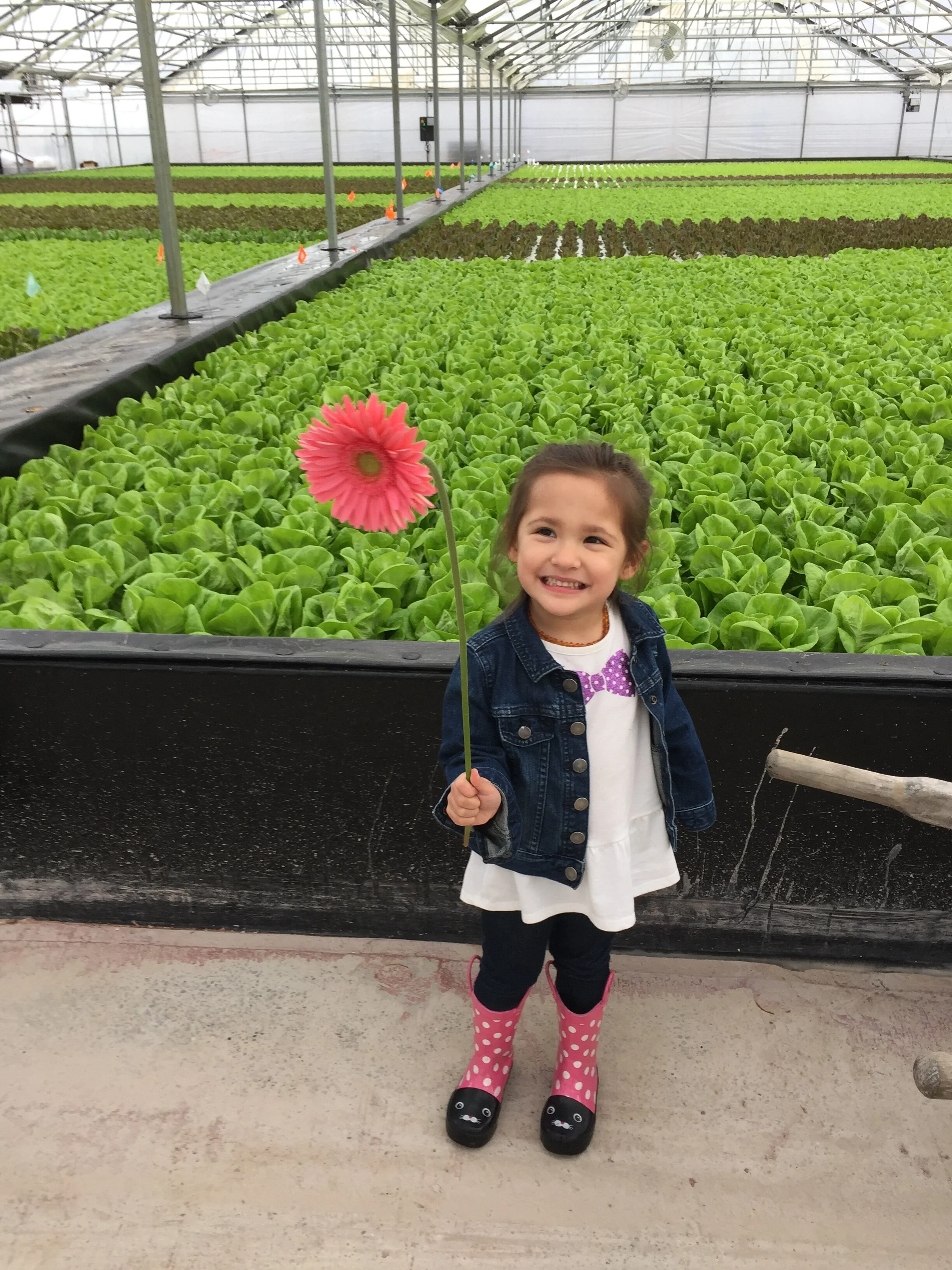 aria with lettuce.JPG