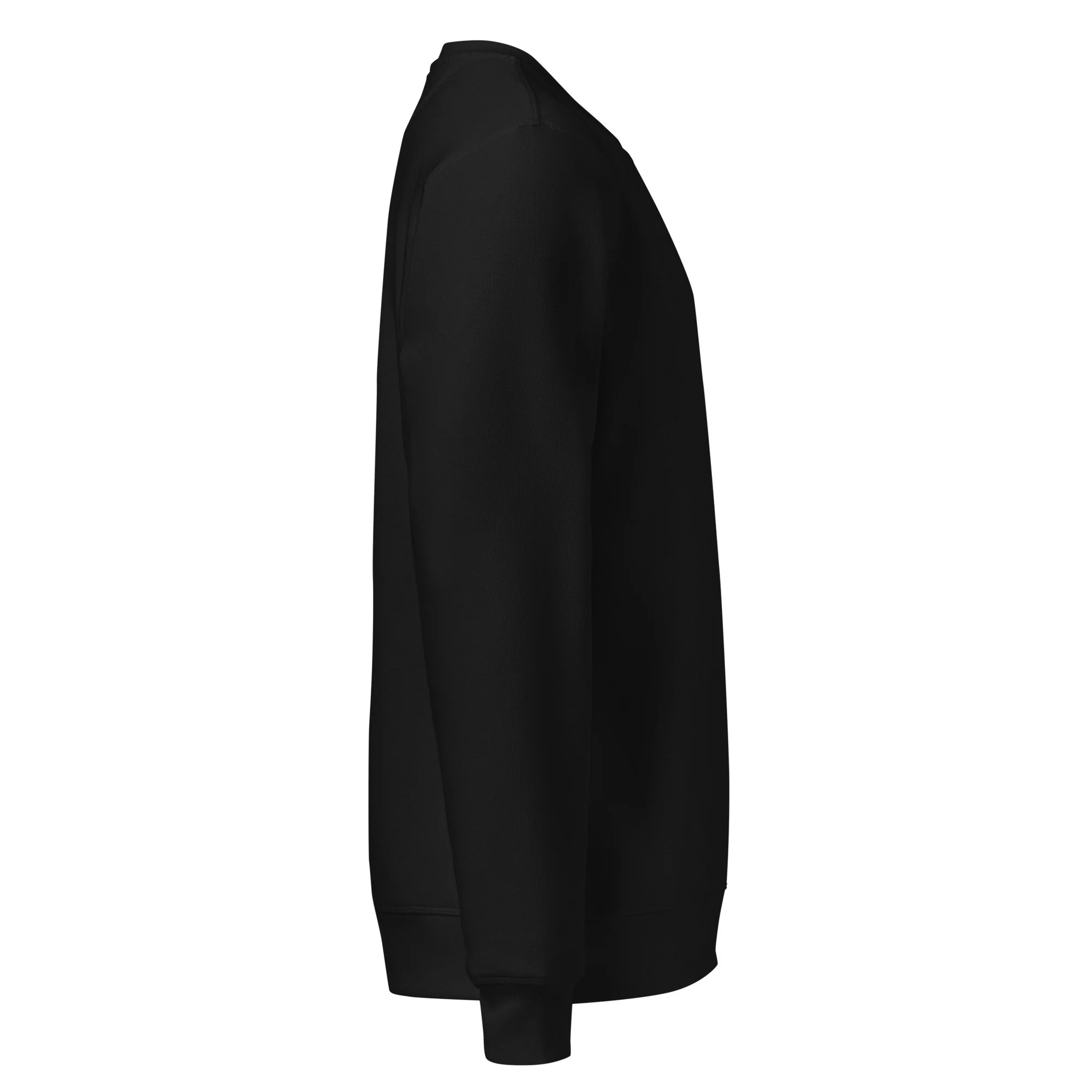 unisex-organic-mid-weight-sweatshirt-black-right-68b181aeecc71.jpg