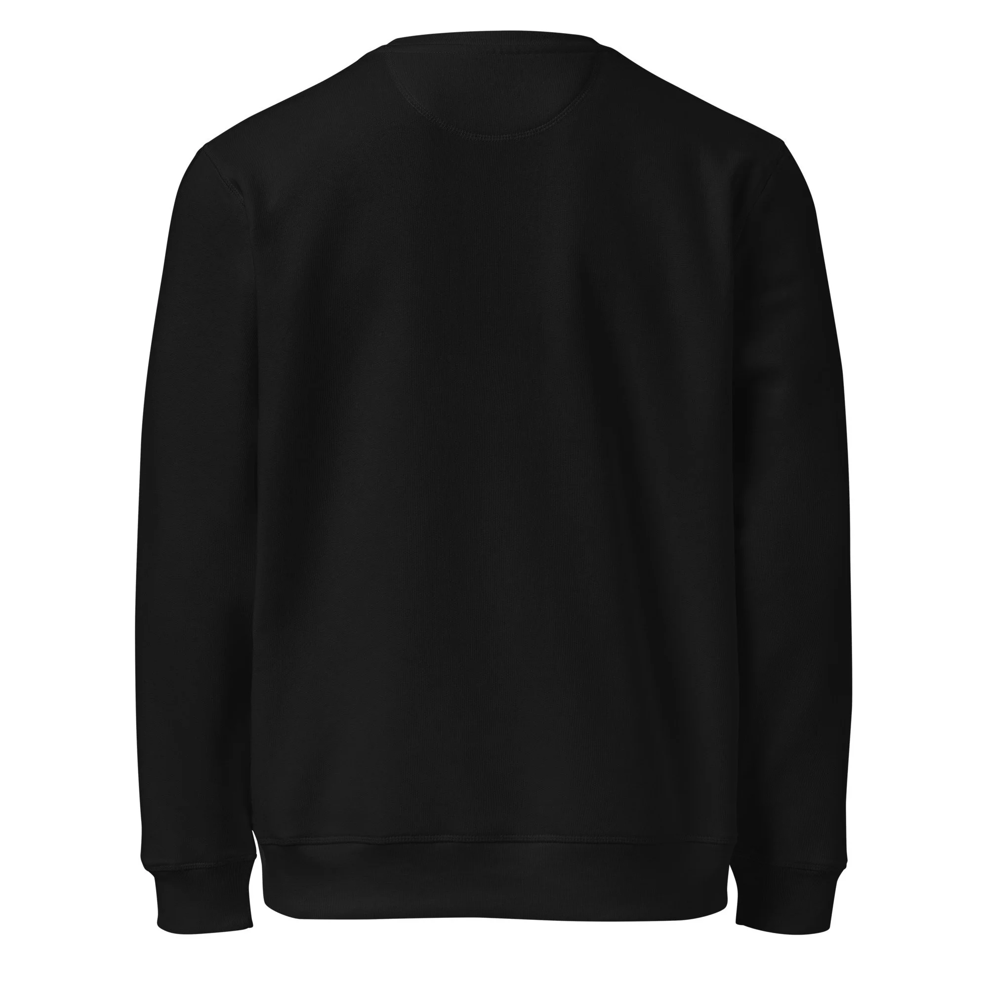 unisex-organic-mid-weight-sweatshirt-black-back-68b181aeed002.jpg