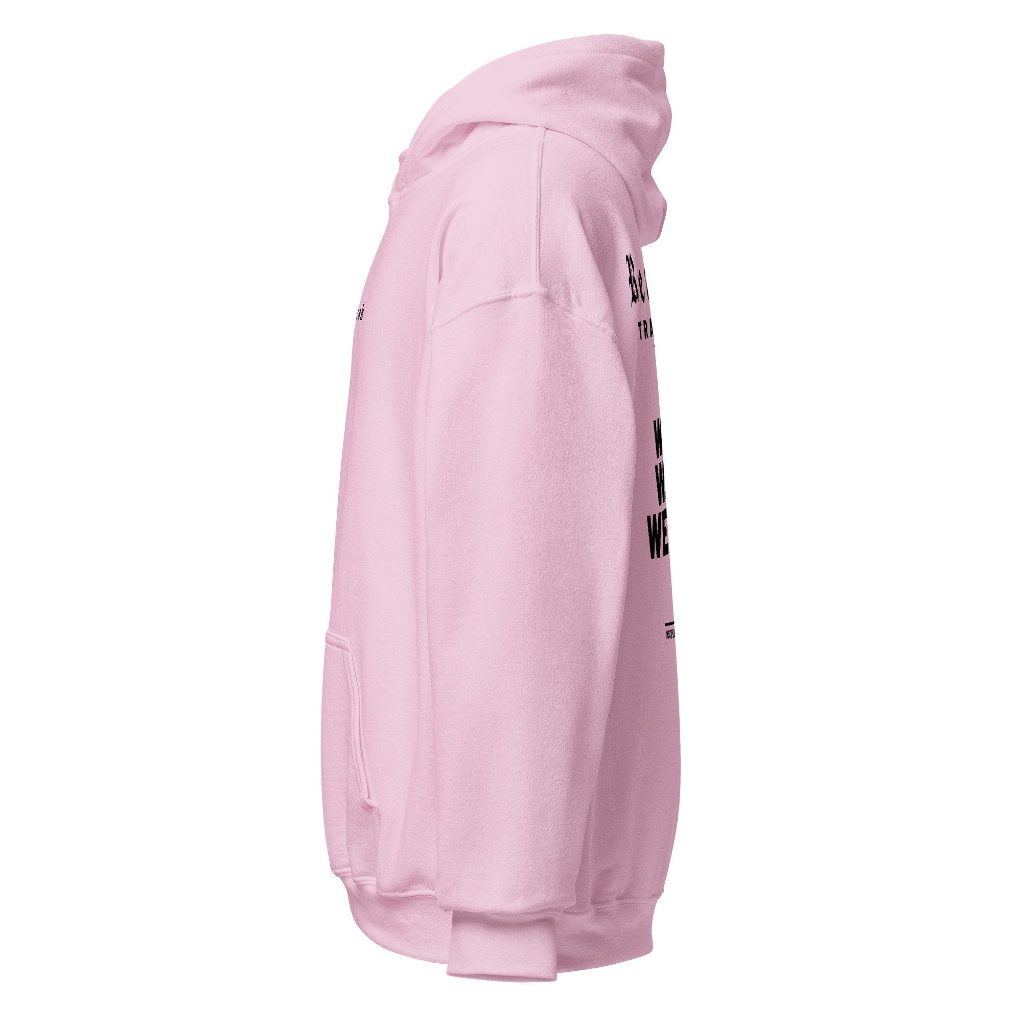 unisex-heavy-blend-hoodie-light-pink-left-697a20afe6950.jpg