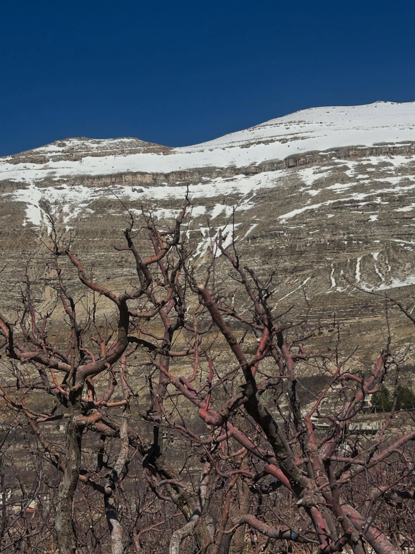 Three views I could not possibly capture 🧶