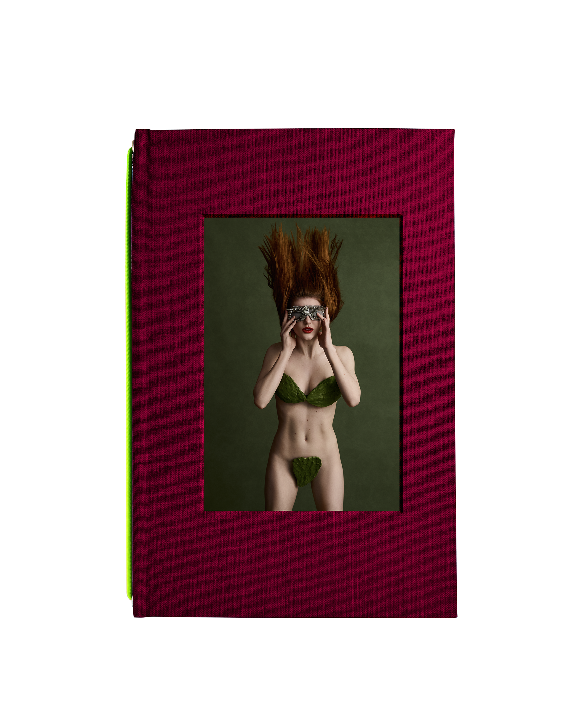 AmuseBouche_WebsiteCoverBordeaux_Front.png