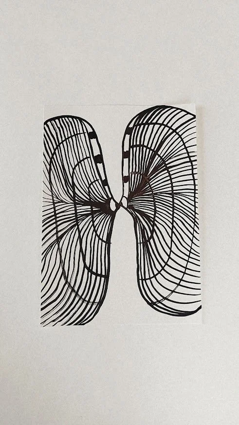 COQUILLES ET ALGUES VII