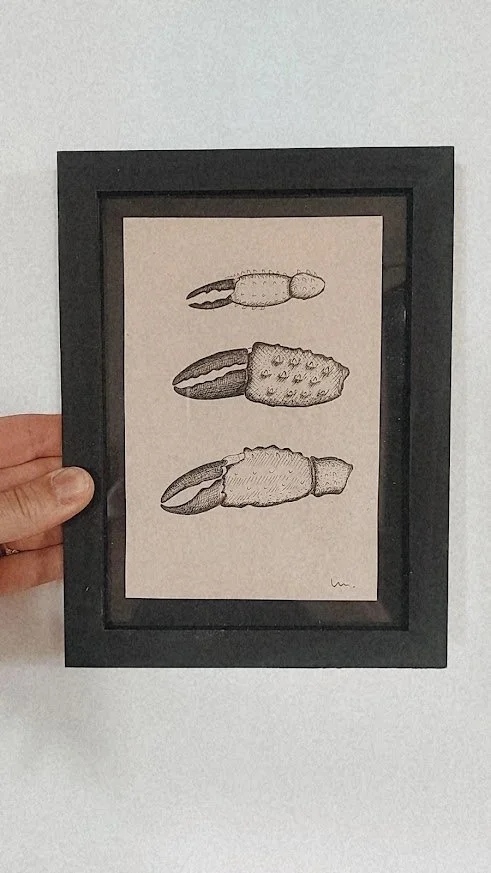 PINCES DE CRABE