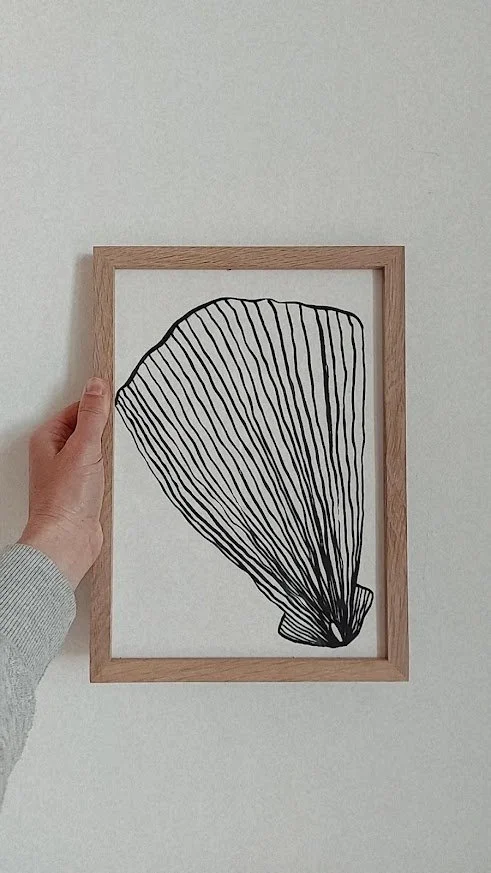 COQUILLES ET ALGUES III