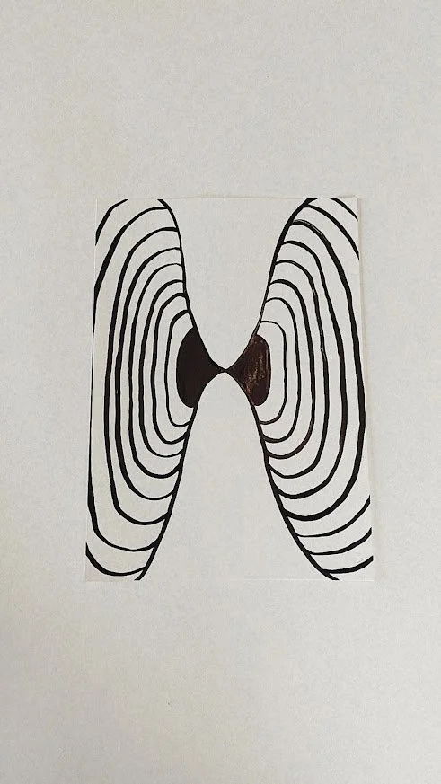 COQUILLES ET ALGUES II