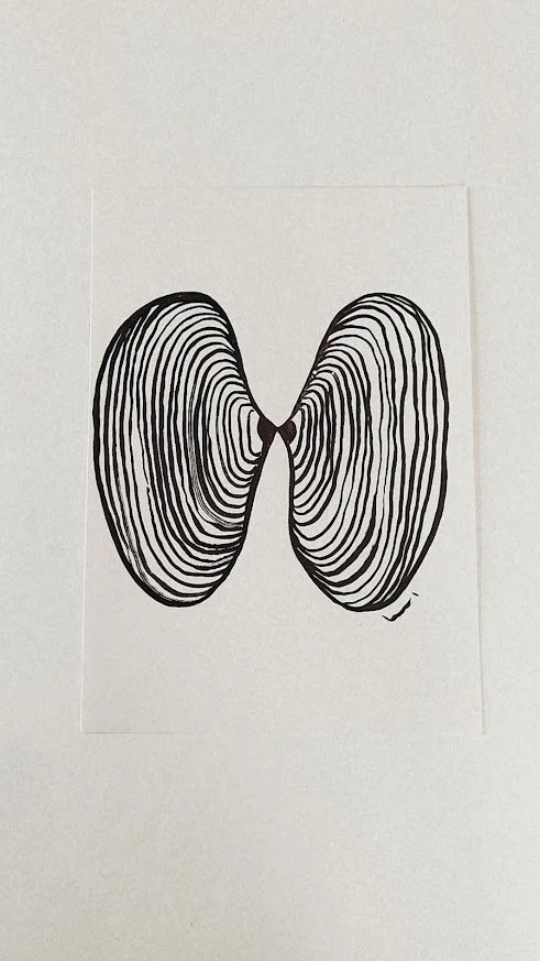 COQUILLES ET ALGUES I