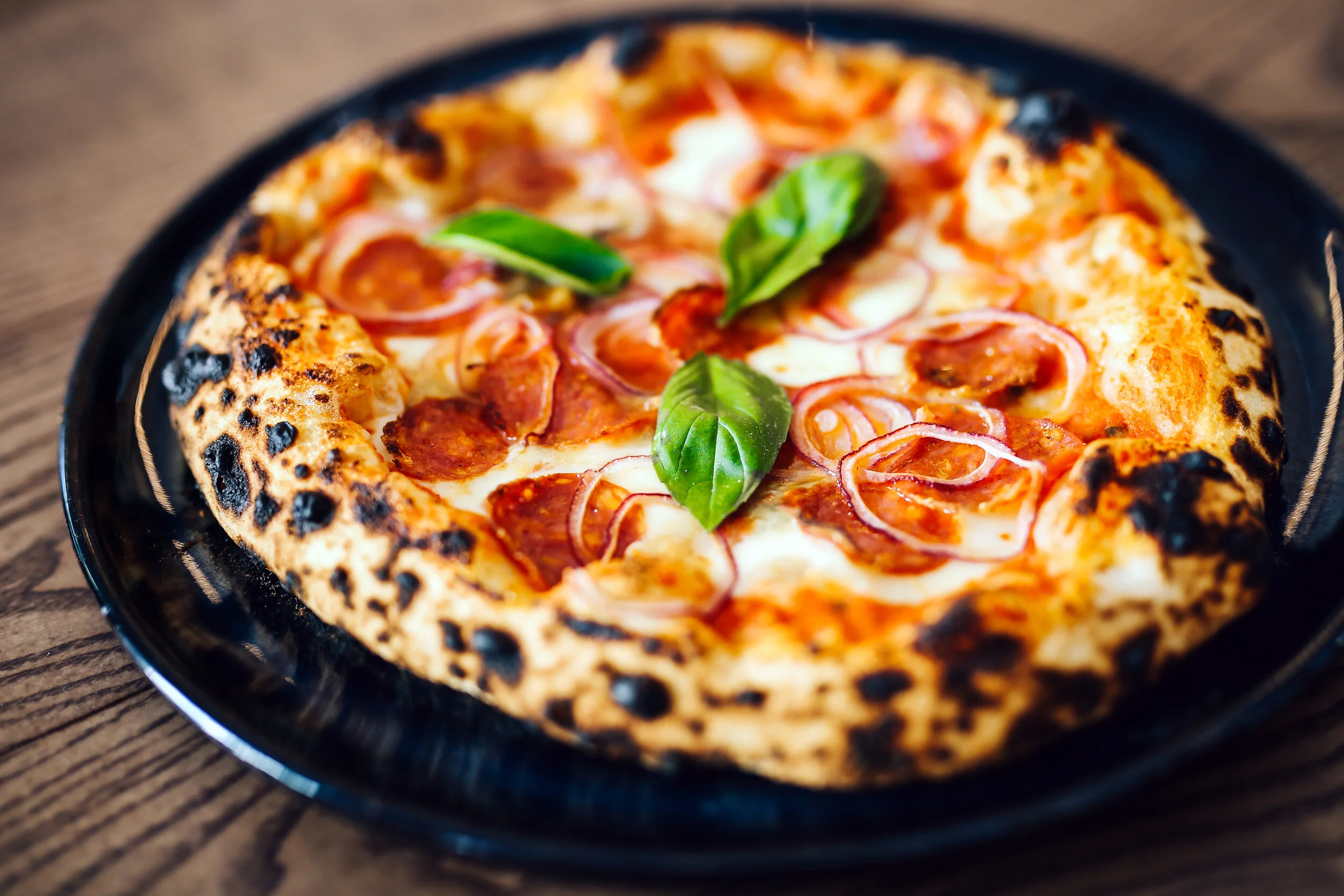 visconte final _ TO_GV-10.JPG