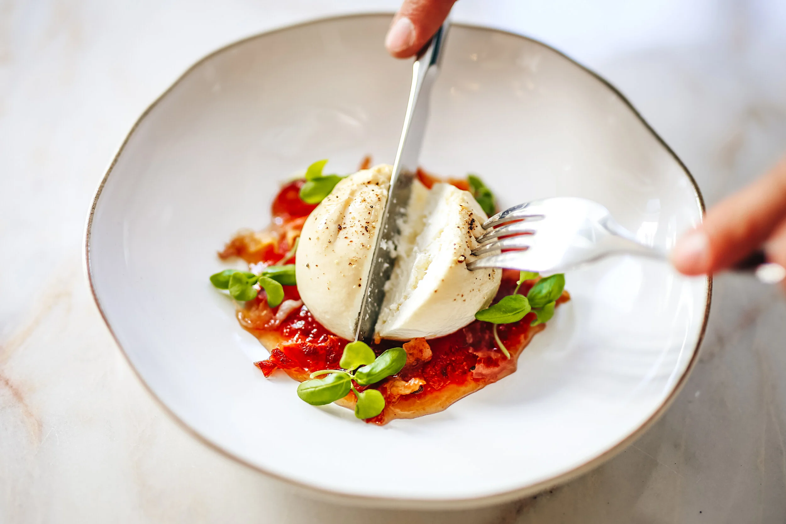 visconte final _ TO_GV-27.JPG