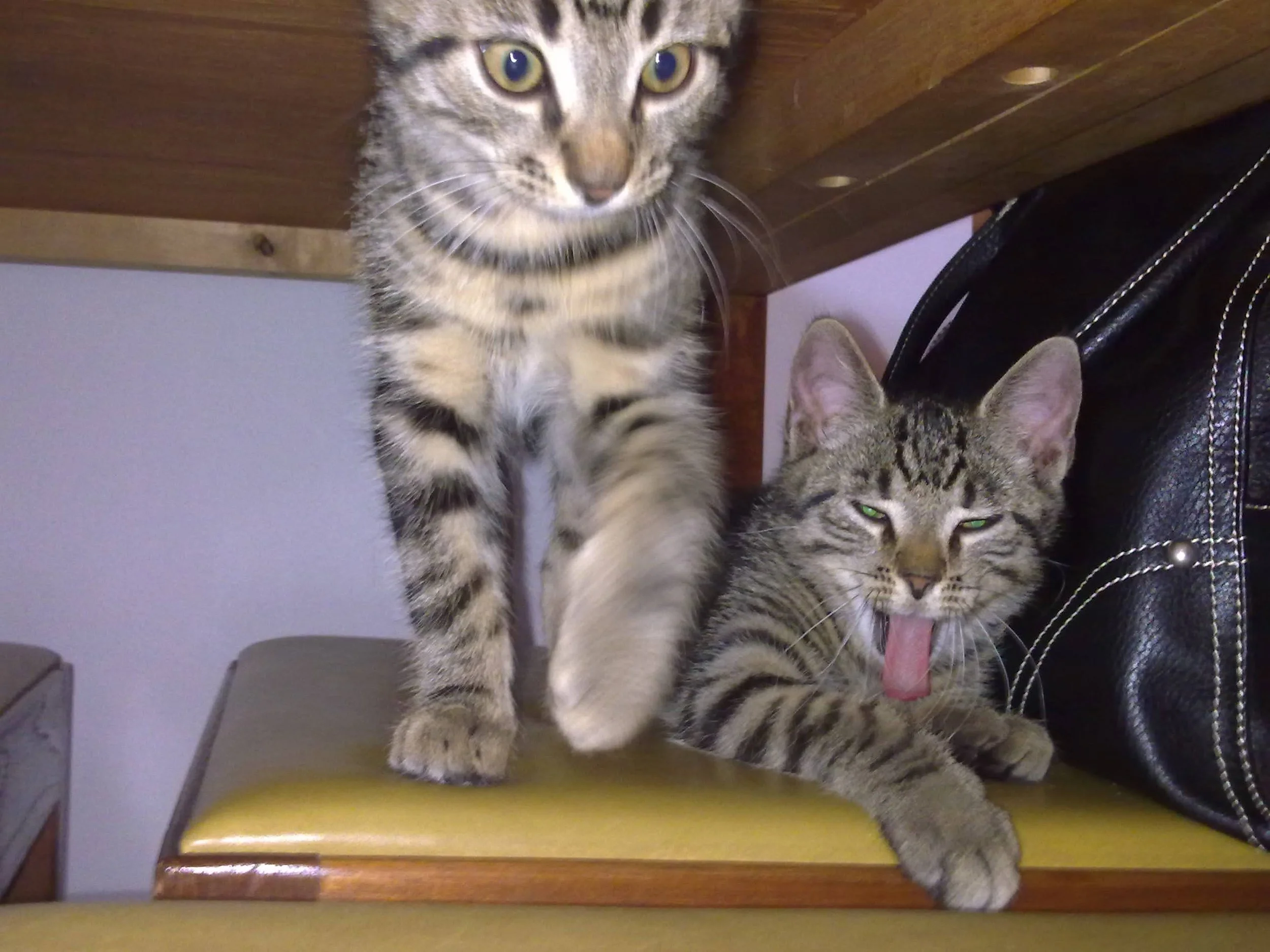 23052011061.jpg