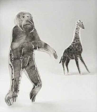 monkey giraffe.jpg