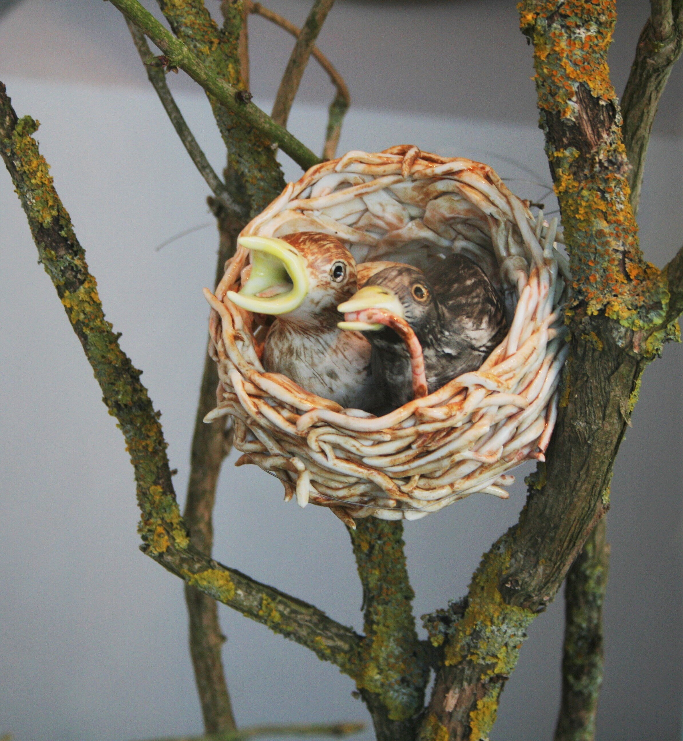 birds in nest with worm.jpg